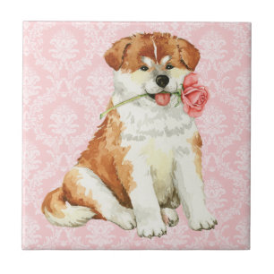 Valentine Rose Akita Fliese