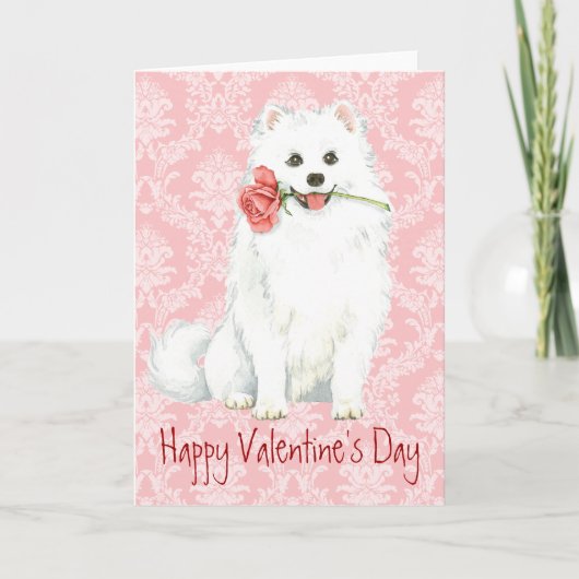 Valentine Rose American Eskimo Dog Feiertagskarte (Vorderseite)