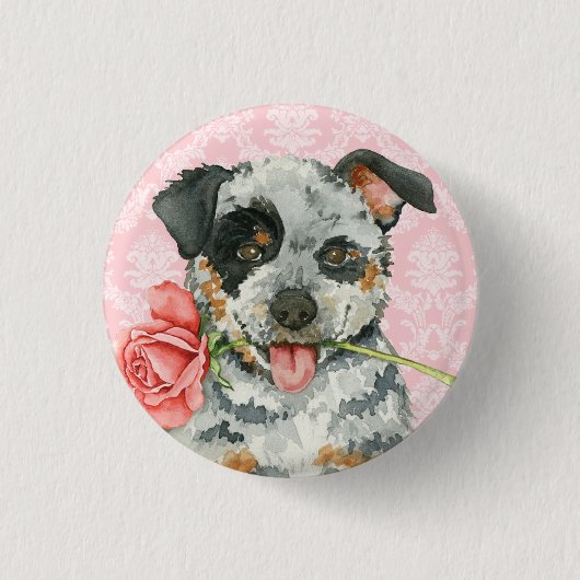 Valentine Rose Australian Cattle Dog Button (Vorderseite)