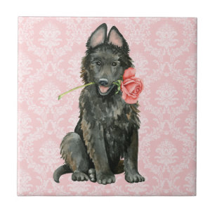 Valentine Rose Belgische Sheepdog Fliese