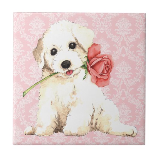 Valentine Rose Bichon Fliese (Vorderseite)