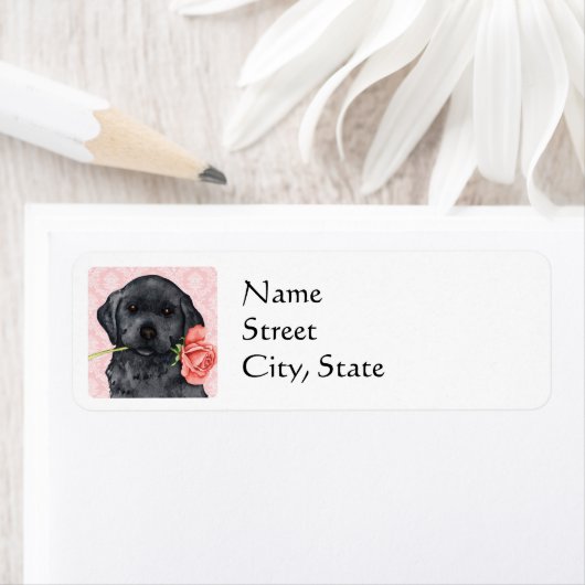 Valentine Rose Black Lab (Insitu)
