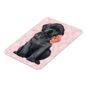 Valentine Rose Black Lab Magnet (Linke Seite)