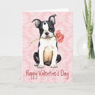 Valentine Rose Boston Terrier Feiertagskarte