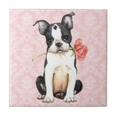Valentine Rose Boston Terrier Fliese (Vorderseite)