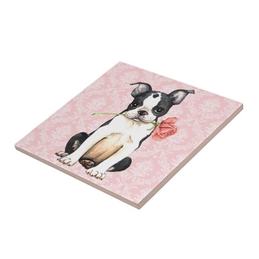 Valentine Rose Boston Terrier Fliese (Seite)