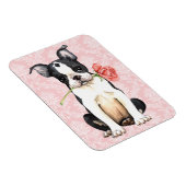 Valentine Rose Boston Terrier Magnet (Rechte Seite)