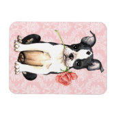 Valentine Rose Boston Terrier Magnet (Horizontal)