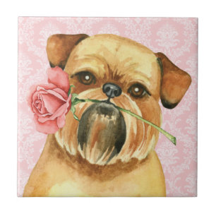 Valentine Rose Brussels Griffon Fliese