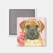 Valentine Rose Bullmastiff Magnet (Vorderseite/Rückseite)