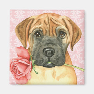 Valentine Rose Bullmastiff Magnet