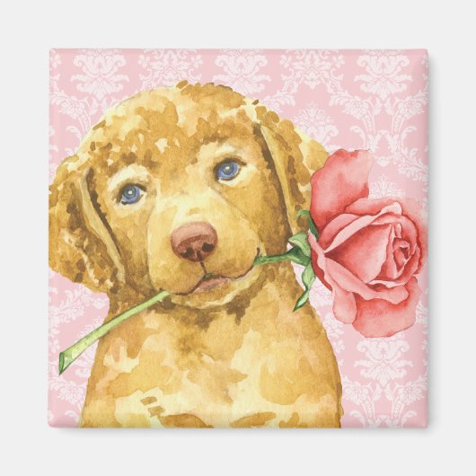 Valentine Rose Chesapeake Bay Retriever Magnet (Vorne)
