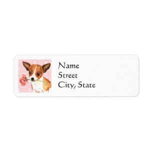 Valentine Rose Chihuahua