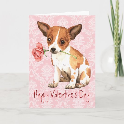 Valentine Rose Chihuahua Feiertagskarte (Vorderseite)