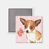 Valentine Rose Chihuahua Magnet (Vorderseite/Rückseite)