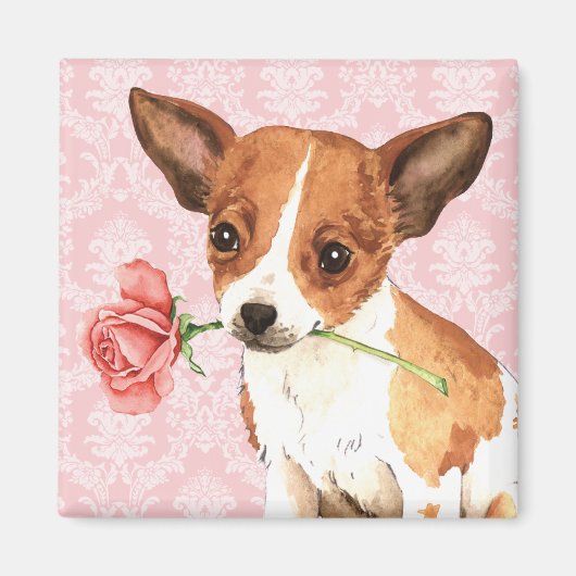 Valentine Rose Chihuahua Magnet (Vorne)