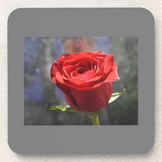Valentine Rose Cork Untersetzer (Vorderseite)
