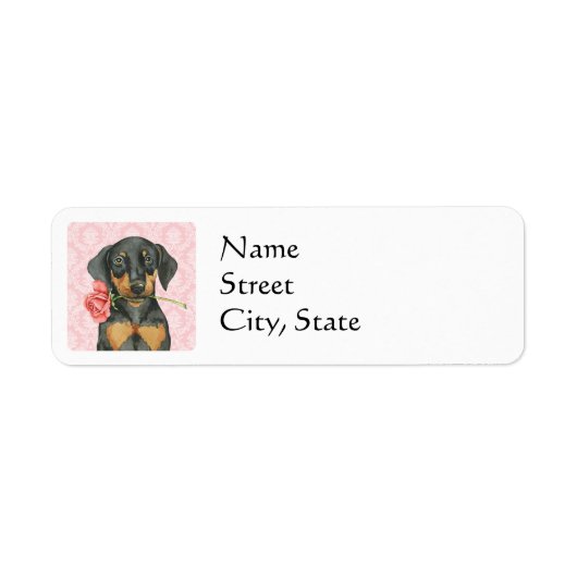 Valentine Rose Doberman (Vorne)