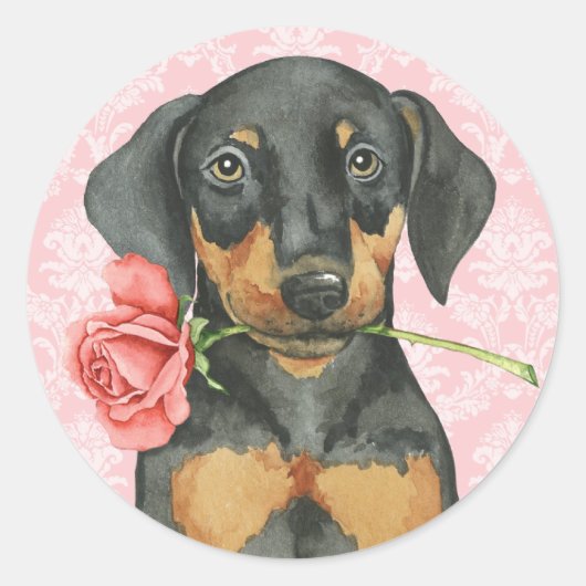 Valentine Rose Doberman Runder Aufkleber (Vorderseite)