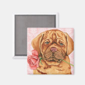 Valentine Rose Dogue de Bordeaux Magnet (Vorderseite/Rückseite)