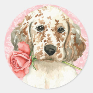 Valentine Rose English Setter Runder Aufkleber