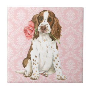 Valentine Rose English Springer Fliese