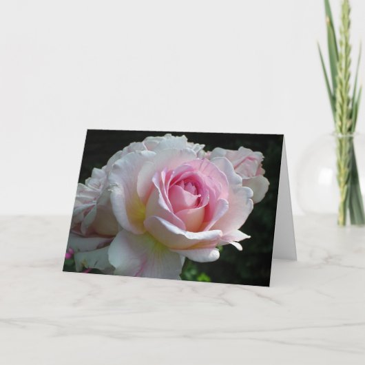 Valentine Rose Feiertagskarte (Vorderseite)