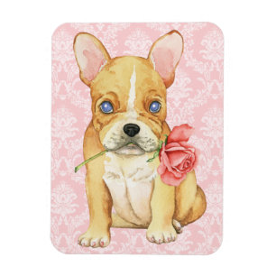 Valentine Rose Frenchie Magnet
