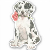 Valentine Rose Great Dane Vinyl Sticker (Vorderseite)