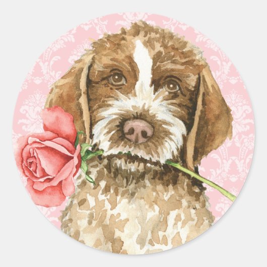 Valentine Rose Griffon Runder Aufkleber (Vorderseite)
