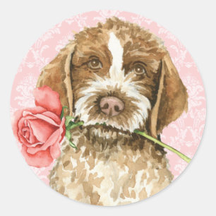 Valentine Rose Griffon Runder Aufkleber