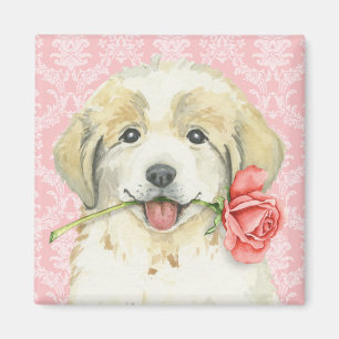 Valentine Rose Große Pyrenäen Magnet
