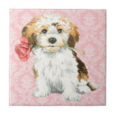 Valentine-Rose Havanese Fliese (Vorderseite)