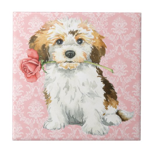 Valentine-Rose Havanese Fliese (Vorderseite)