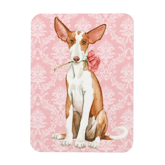 Valentine Rose Ibizan Hound Magnet (Vertikal)