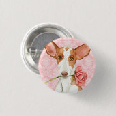 Valentine-Rose Ibizan Jagdhund Button (Vorne & Hinten)