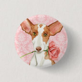 Valentine-Rose Ibizan Jagdhund Button (Vorderseite)