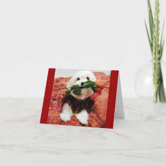 Valentine Rose (innen leer) Feiertagskarte