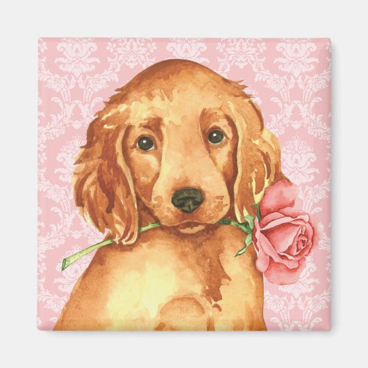 Valentine Rose Irish Setter Magnet (Vorne)
