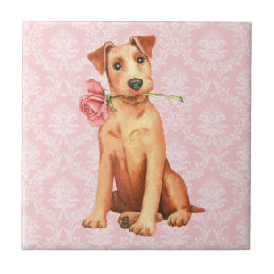 Valentine Rose Irish Terrier Fliese