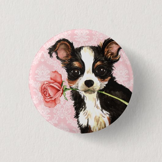 Valentine Rose Long Coat Chihuahua Button (Vorderseite)
