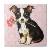 Valentine Rose Long Coat Chihuahua Fliese (Vorderseite)