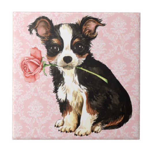 Valentine Rose Long Coat Chihuahua Fliese (Vorderseite)