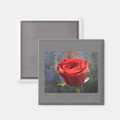 Valentine Rose Magnet (Vorderseite/Rückseite)