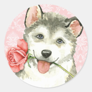 Valentine Rose Malemute Runder Aufkleber