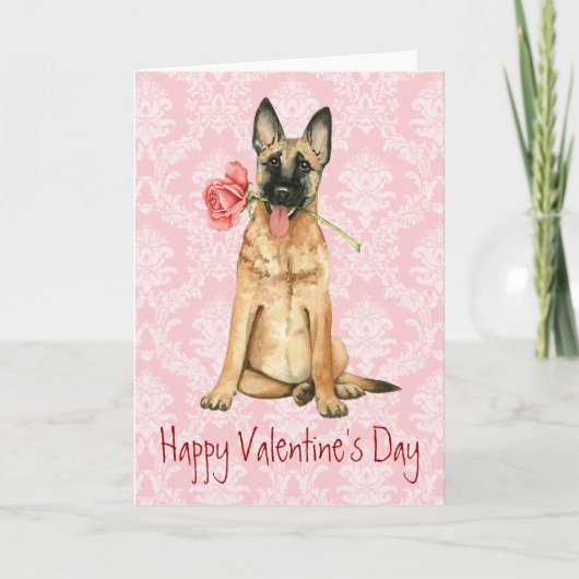 Valentine Rose Malinois Feiertagskarte (Vorderseite)