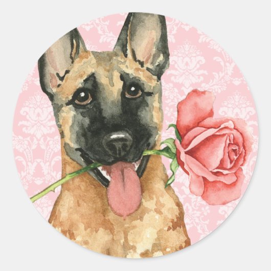 Valentine Rose Malinois Runder Aufkleber (Vorderseite)