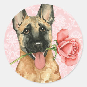 Valentine Rose Malinois Runder Aufkleber