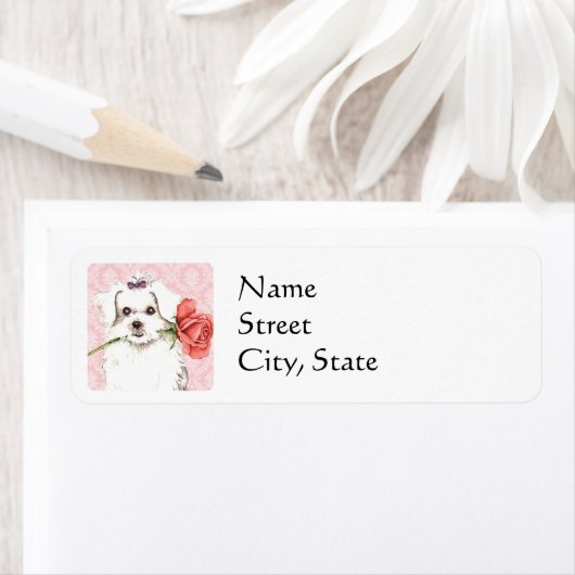 Valentine Rose Maltesisch (Insitu)