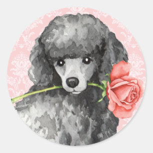 Valentine Rose Miniatur Poodle Runder Aufkleber